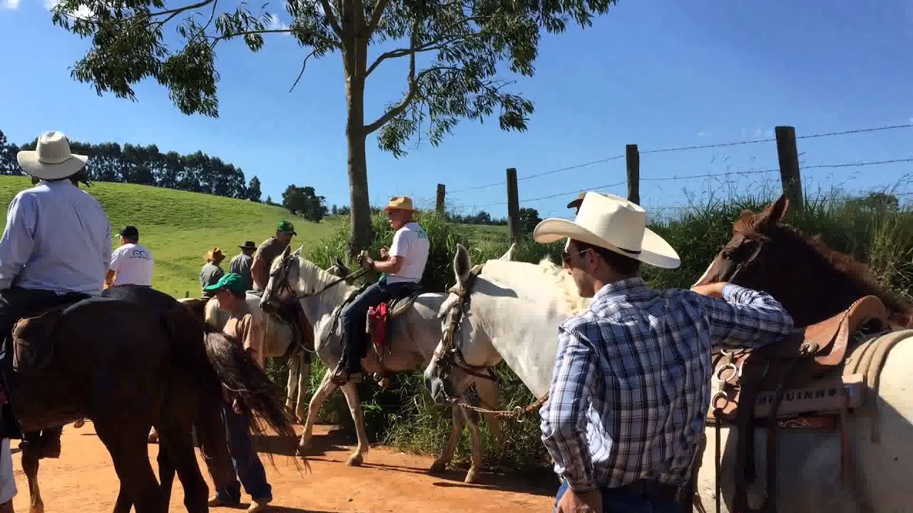 Haras S&atilde;o Benedito cavalgadas