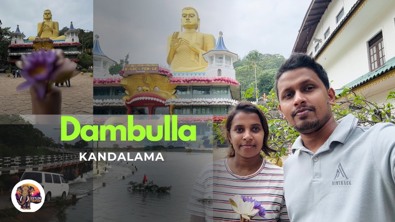 Travel Vlog | Dambulla Kandalama & Dambulla Wiharaya 🛕✨