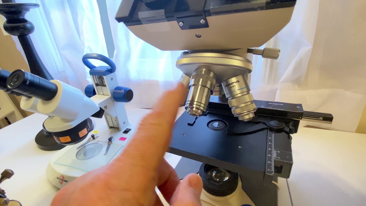 Microscope collection