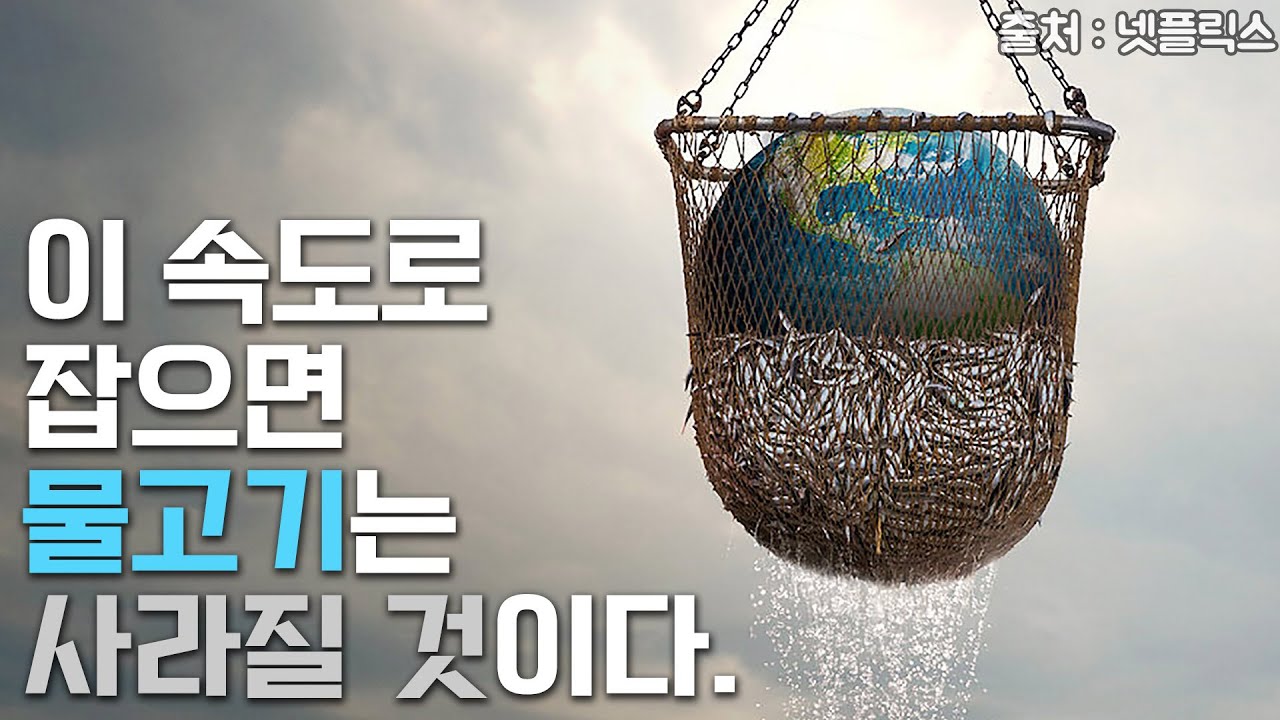 물고기가 사라진다. 무너지고 있는 바다