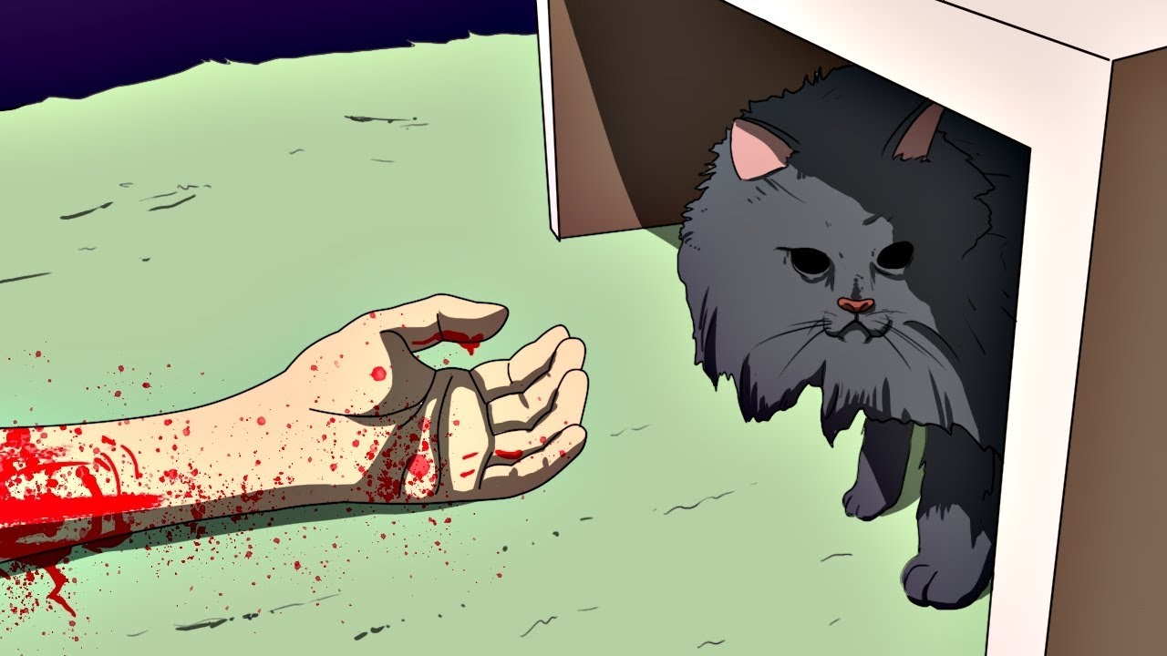 No creerás lo que este gato sin ojos le hizo a esta persona