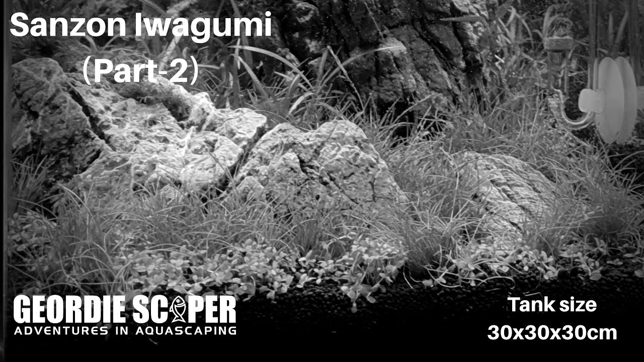 SANZON IWAGUMI (PART 2) JAPANESE STYLE 3 STONE PLANTED NANO AQUARIUM 2020