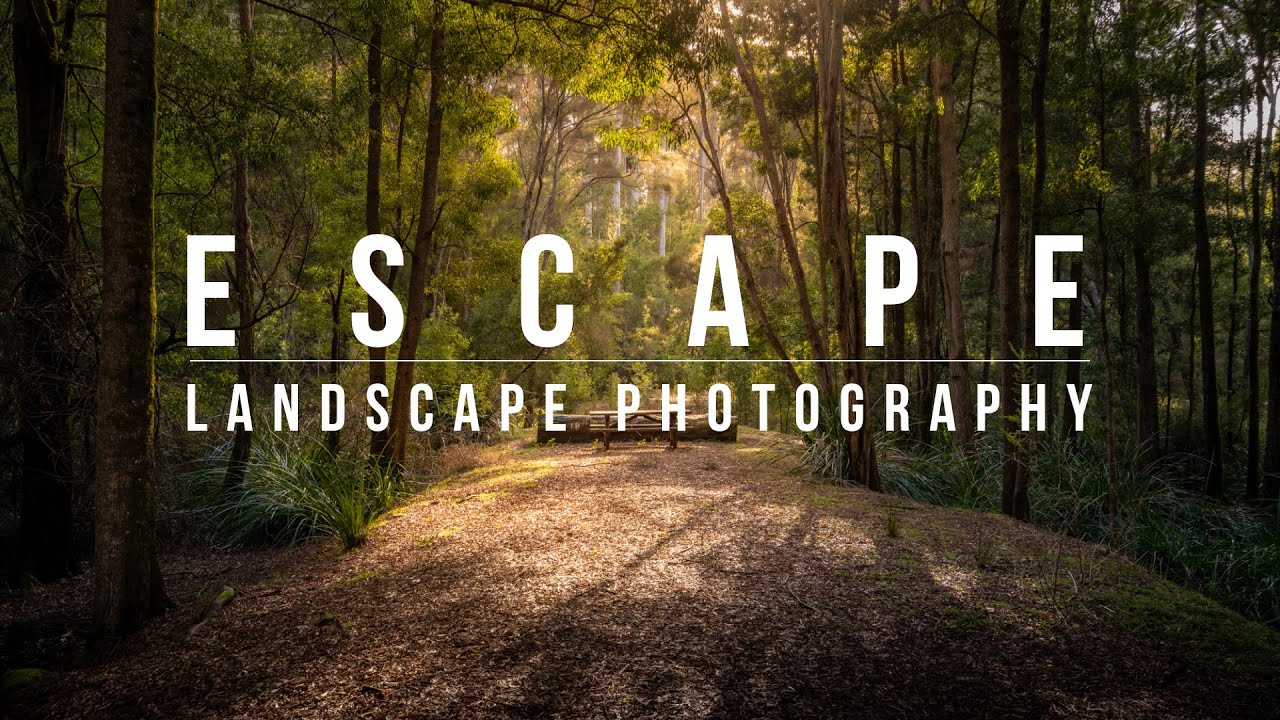Escape with Landscape Photography