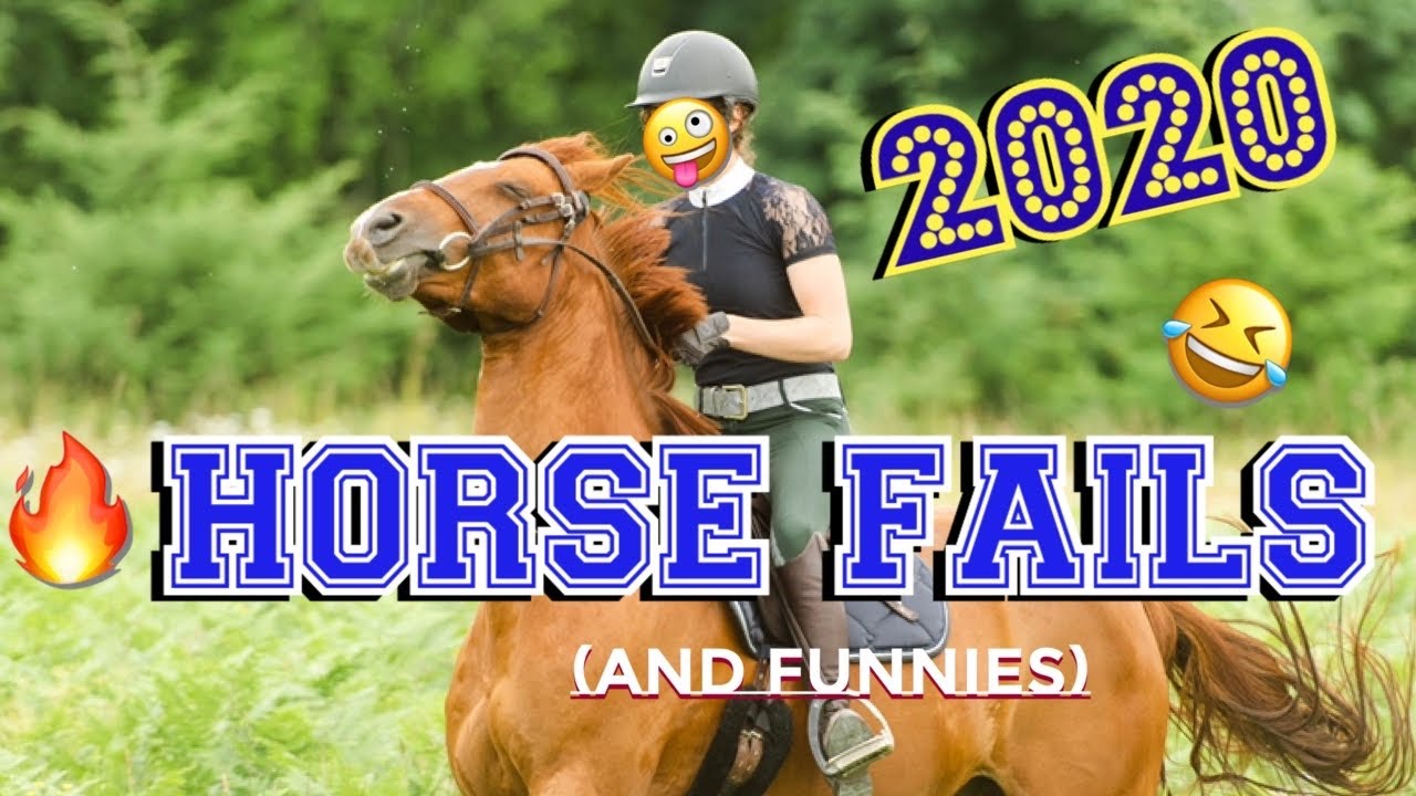 Equestrian Fails & Funnies Compilation | 2020
