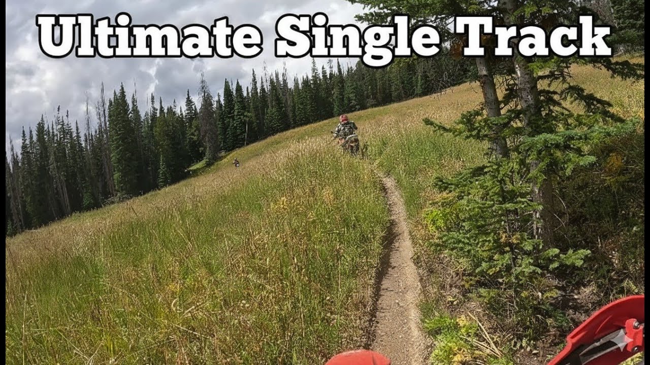 The Ultimate Single Track Challenge: Northern Colorado Dirt Biking