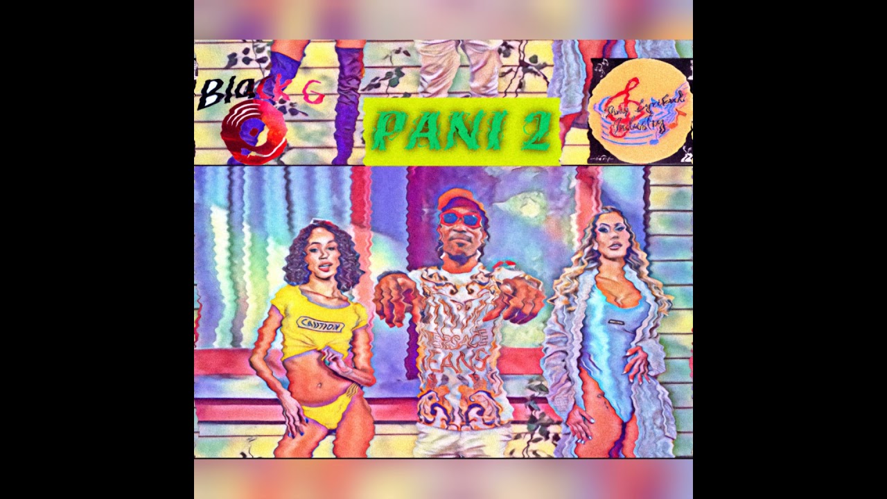 PANI 2