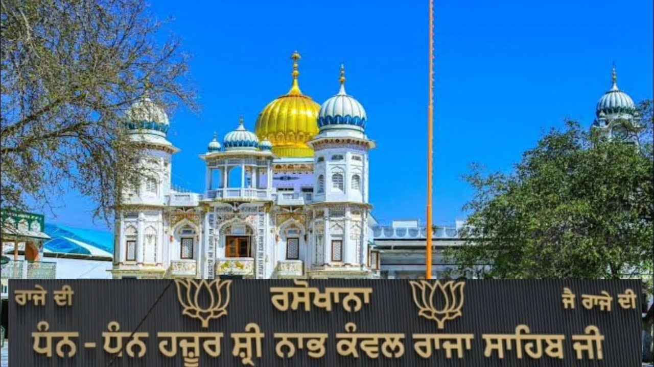 11 August 2025