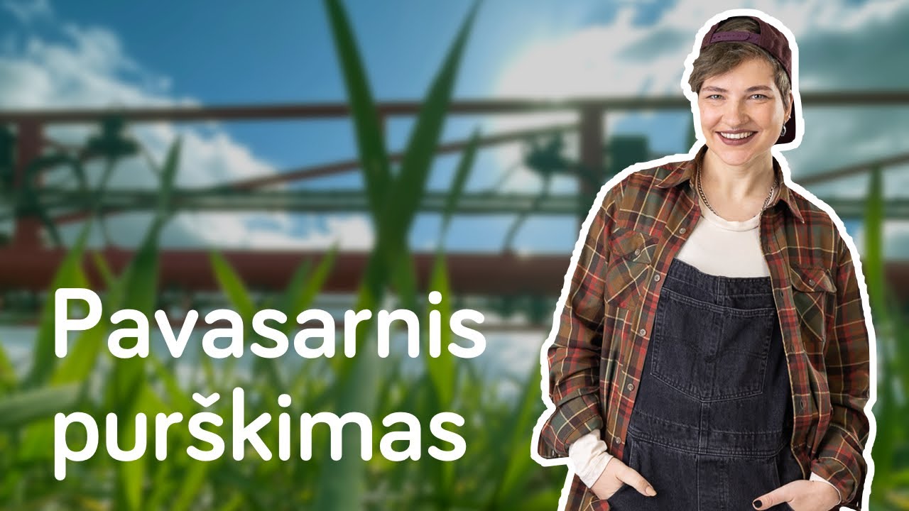 Pavasarinis pasėlių pur&scaron;kimas. Ūkininkė R. Rasimaitė, Prienų r.