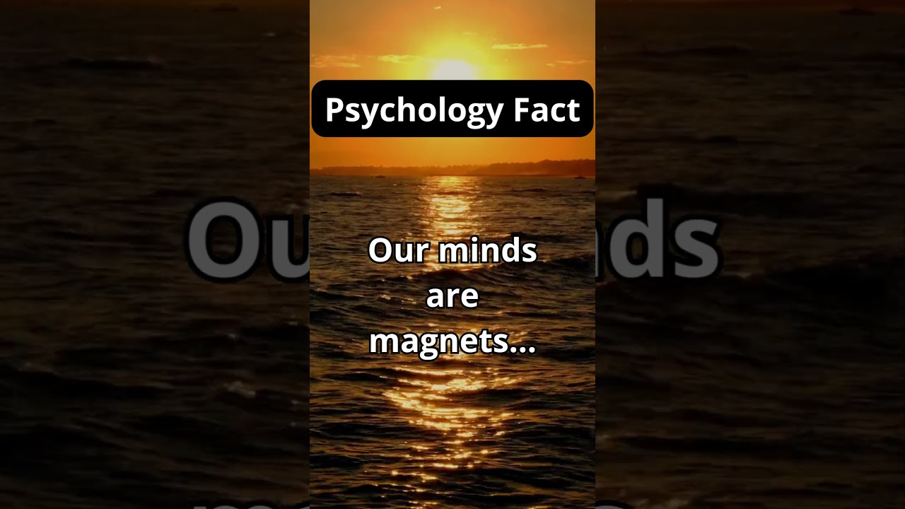 Our minds are magnets...#psychologyfacts #attractionlaw #subscribeformore