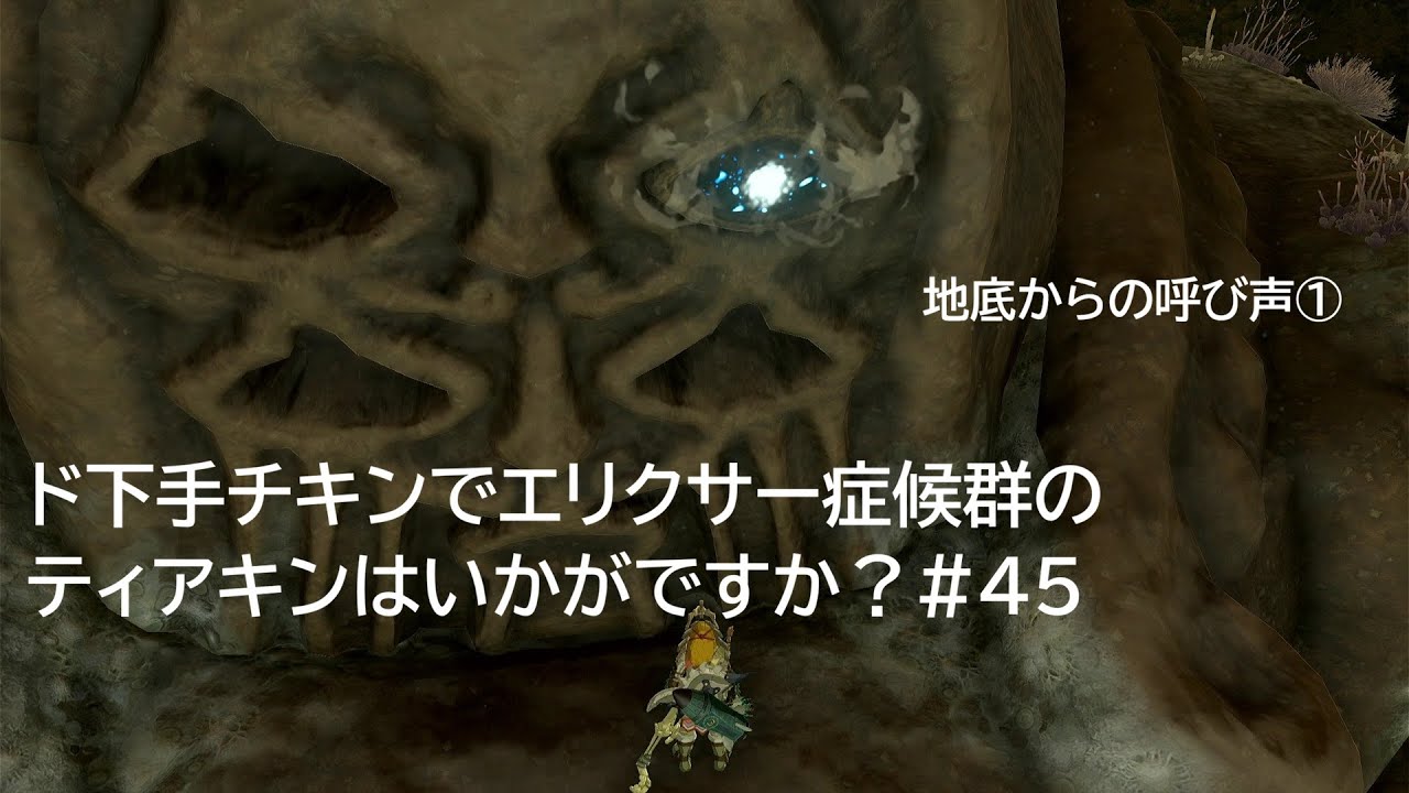 ド下手チキンでエリクサー症候群のティアキンはいかがですか？#45