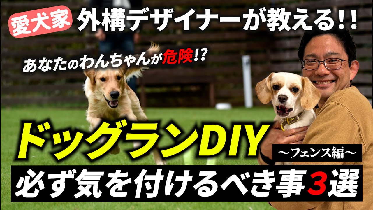 【要注意】自宅にドッグランを作る前に知っていて欲しい事