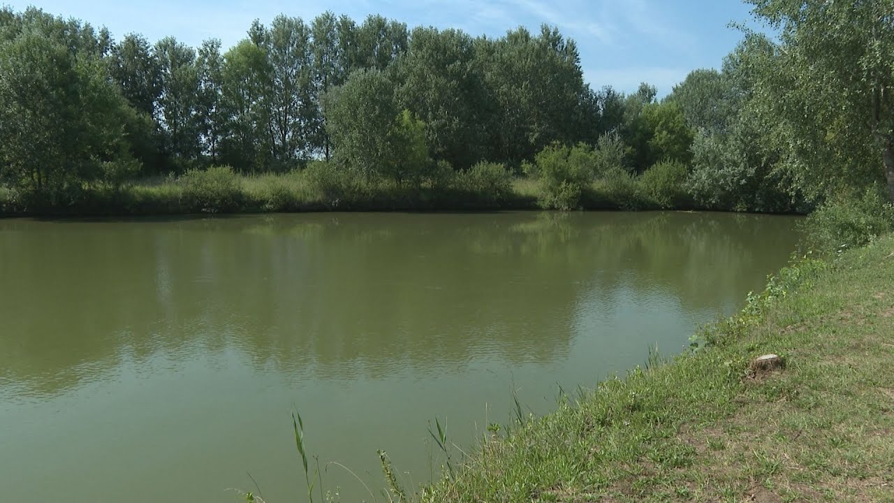 Népszerű a horgásztó
