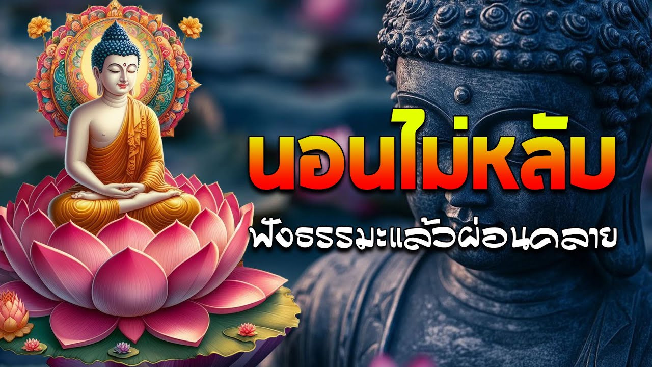 นอนไม่หลับ ฟังธรรมะแล้วผ่อนคลาย นอนหลับลึก ได้บุญมาก🌷🌷🌷ฟังธรรมะก่อนนอน จิตคุณจะสงบเร็ว#พุทธวจน
