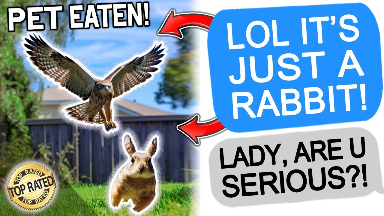 Reddit Stories | My Wife RELEASED My Pet Bunny Into The Wild... AITA? | 3 Hour Karen Marathon