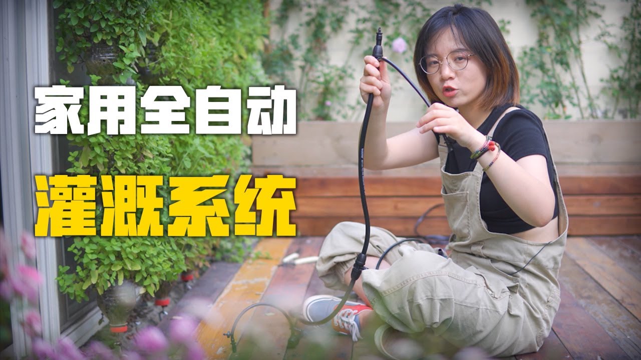 DIY全自動家用灌溉系統｜噴灌｜滴灌｜懶！是第一生產力，我終於可以放心玩耍，不必再擔心花花草草。