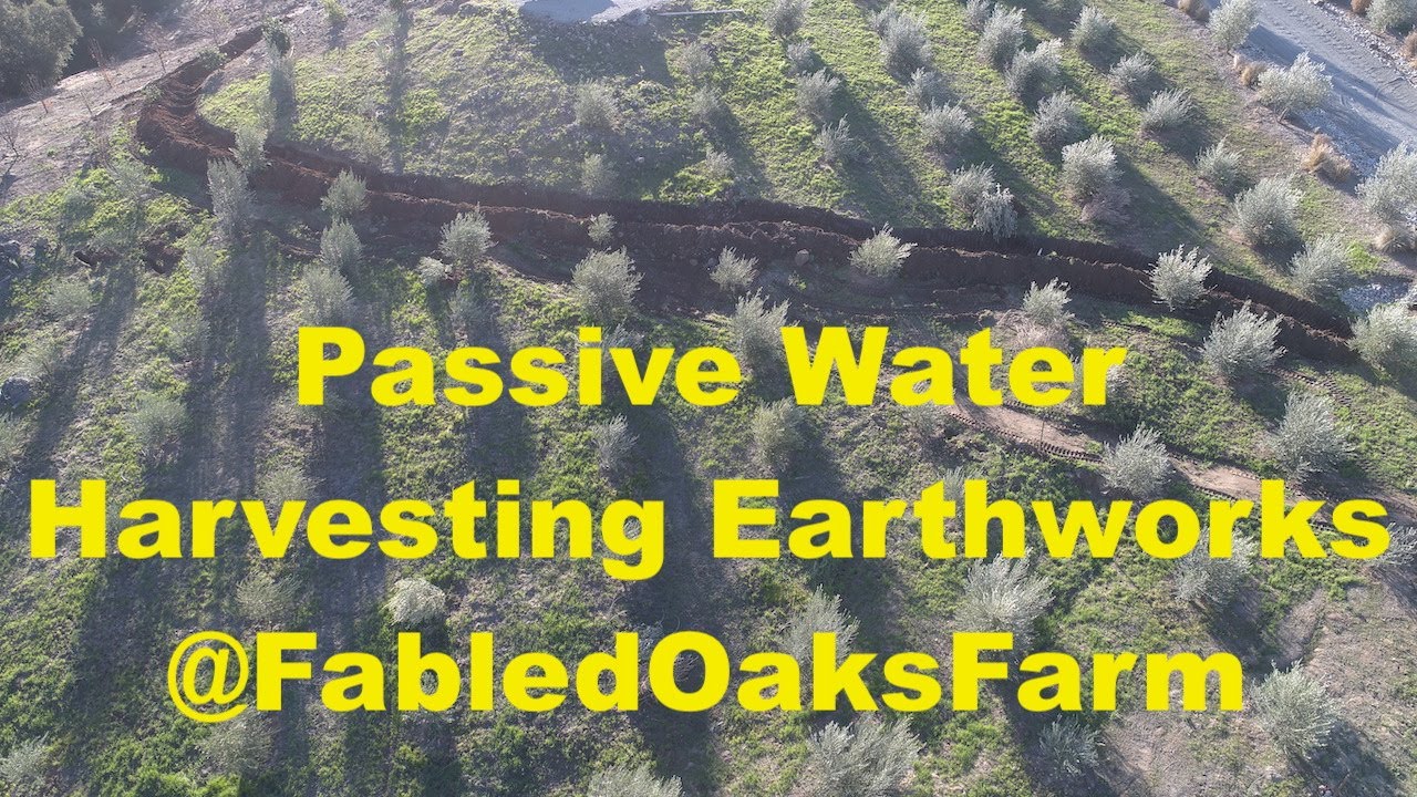 Fabled Oaks Farm - Passive Water Harvesting Earthworks Walkthrough