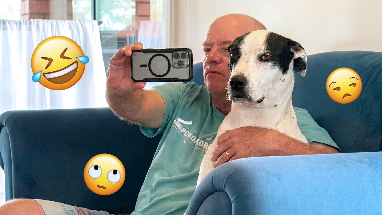 I dare you not to LAUGH at these FUNNY DOGS 😁🦮 - Best Funny Animals Videos 2025 #262
