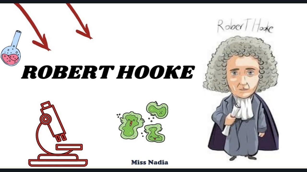 QUI&Eacute;N FUE ROBERT HOOKE