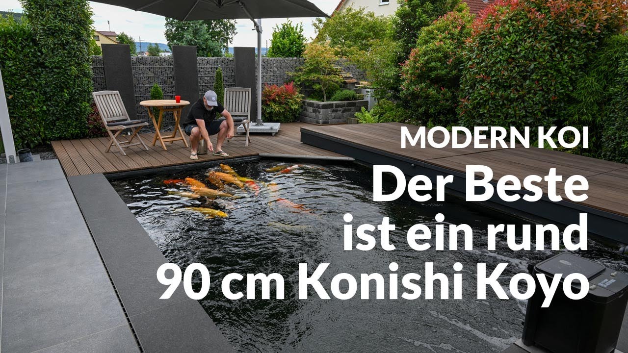 Saschas krass besetzter 29.000 Liter Teich | Modern Koi Blog #6877