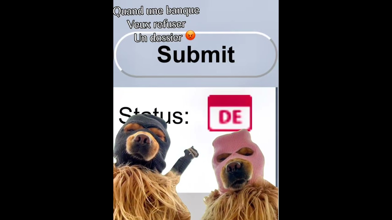 On envoie l&rsquo;escouade en cas de refus ✅ #legarsdecreditoui#credit#finance#auto#car#loan#fy#fyp#foryou