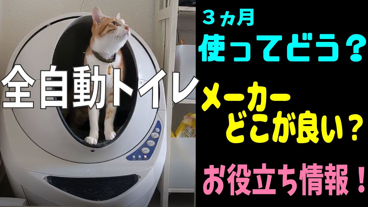 全自動トイレ、レビュー！悩んでる方必見！