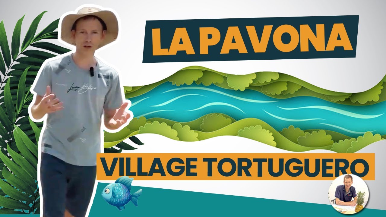Évasion au Village de Tortuguero : de La Pavona à l'Horizon 🌊