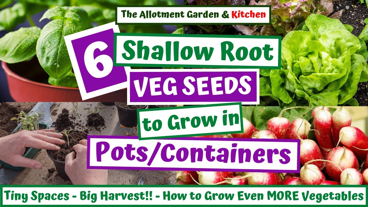 Growing Veg in Containers - Tiny Spaces, Big Harvests (Redefine Your Garden Space) #133