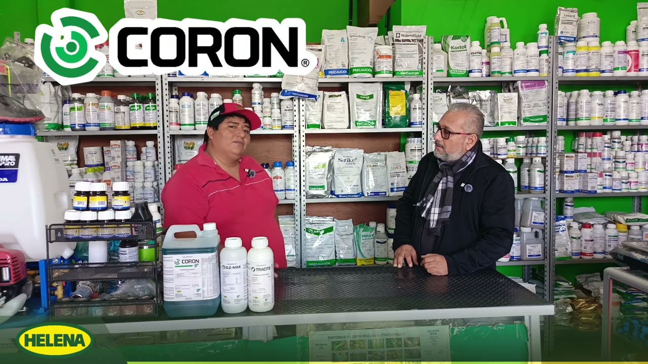 #experiencia  real #hortalizas: cómo los #productos  de #helena  están dando resultados en #méxico