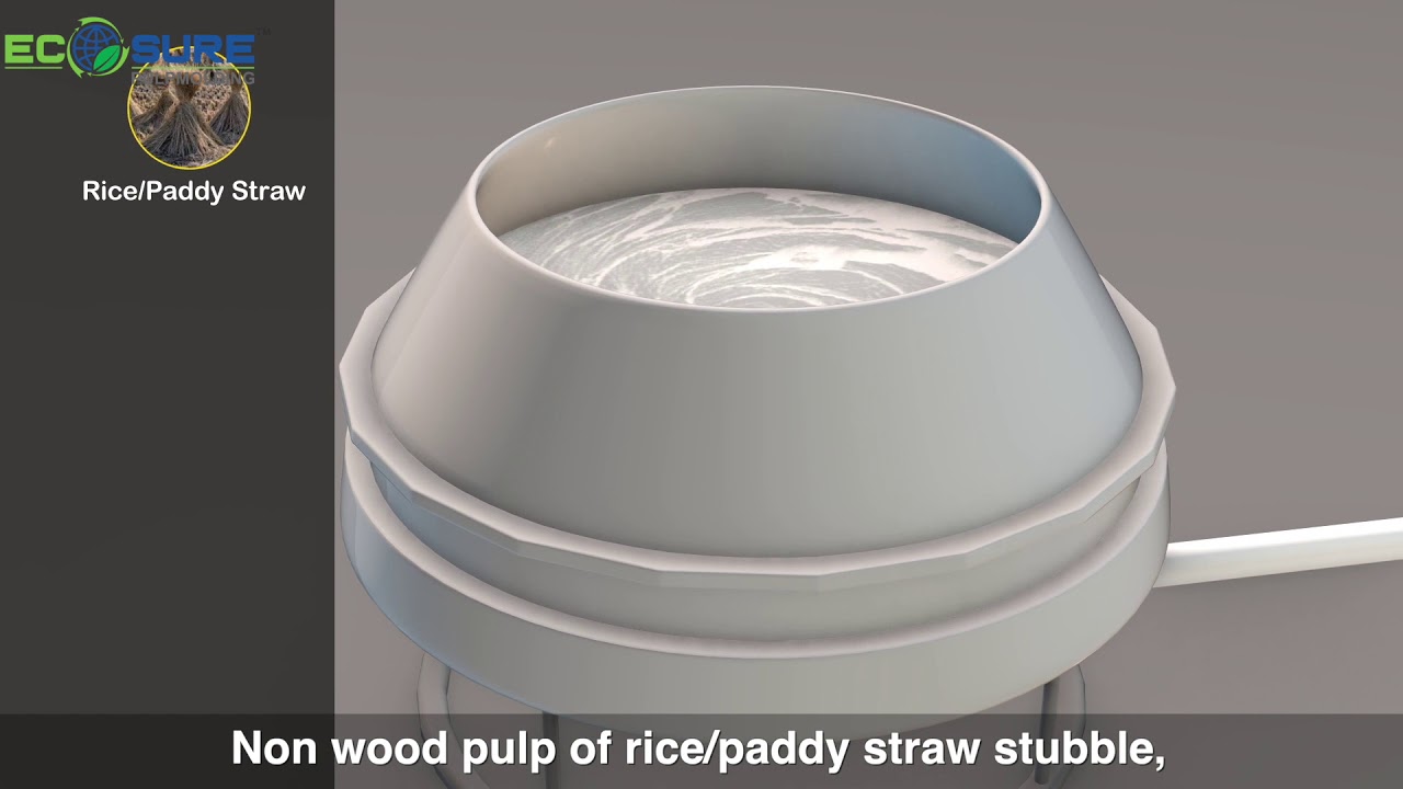 SUGARCANE BAGASSE FIBER PULP MOLDED PRODUCTS