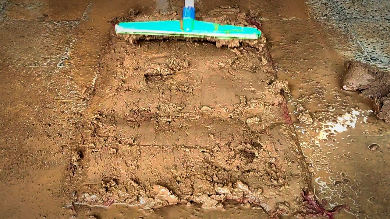 Unbelievable cleaning of the dried mud on the mig mig carpet|ASMR