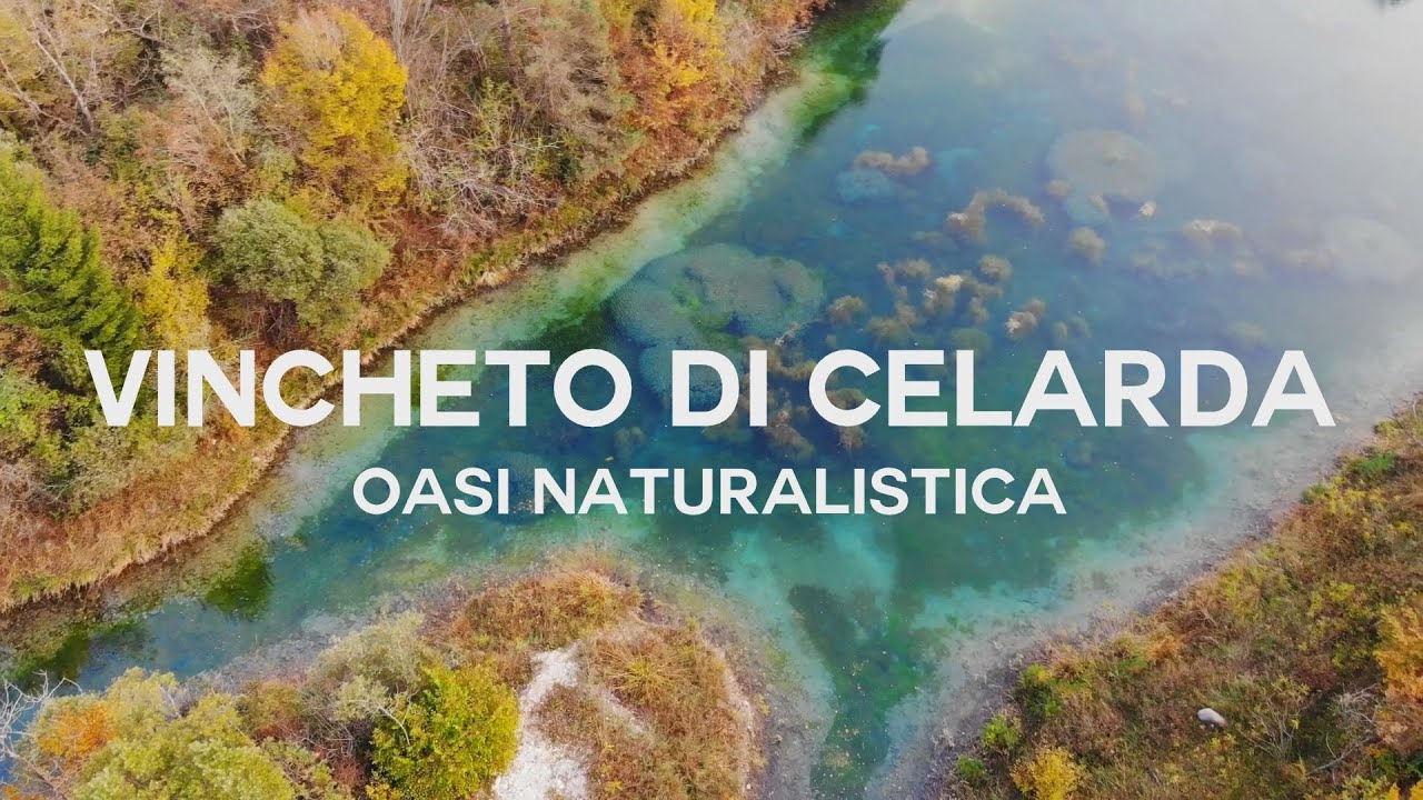 VINCHETO DI CELARDA
