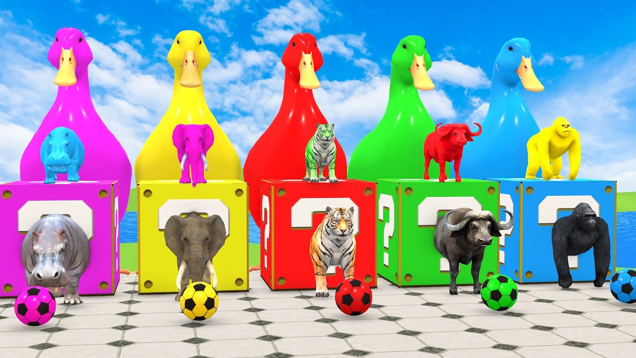 Crazy Animal Slide World 😂 | Funny 3D Animal Game