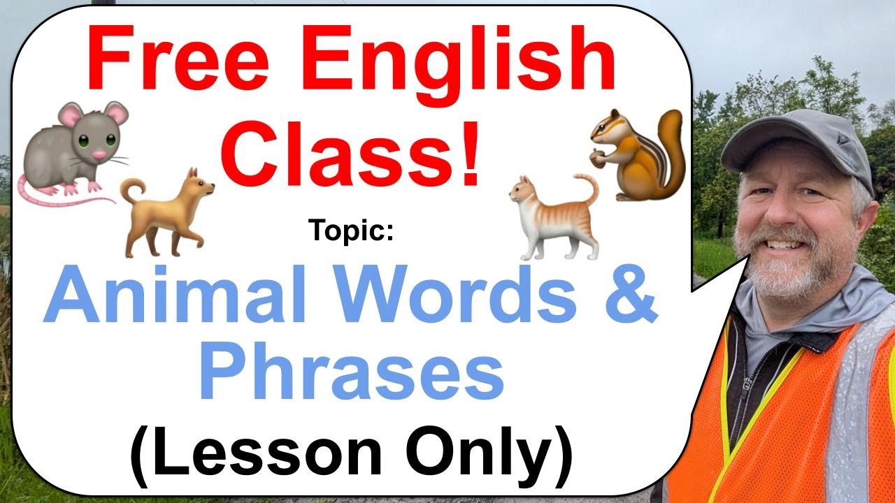 Let's Learn English! Topic: Animal Inspired Words & Phrases! 🐿️🐀🐈