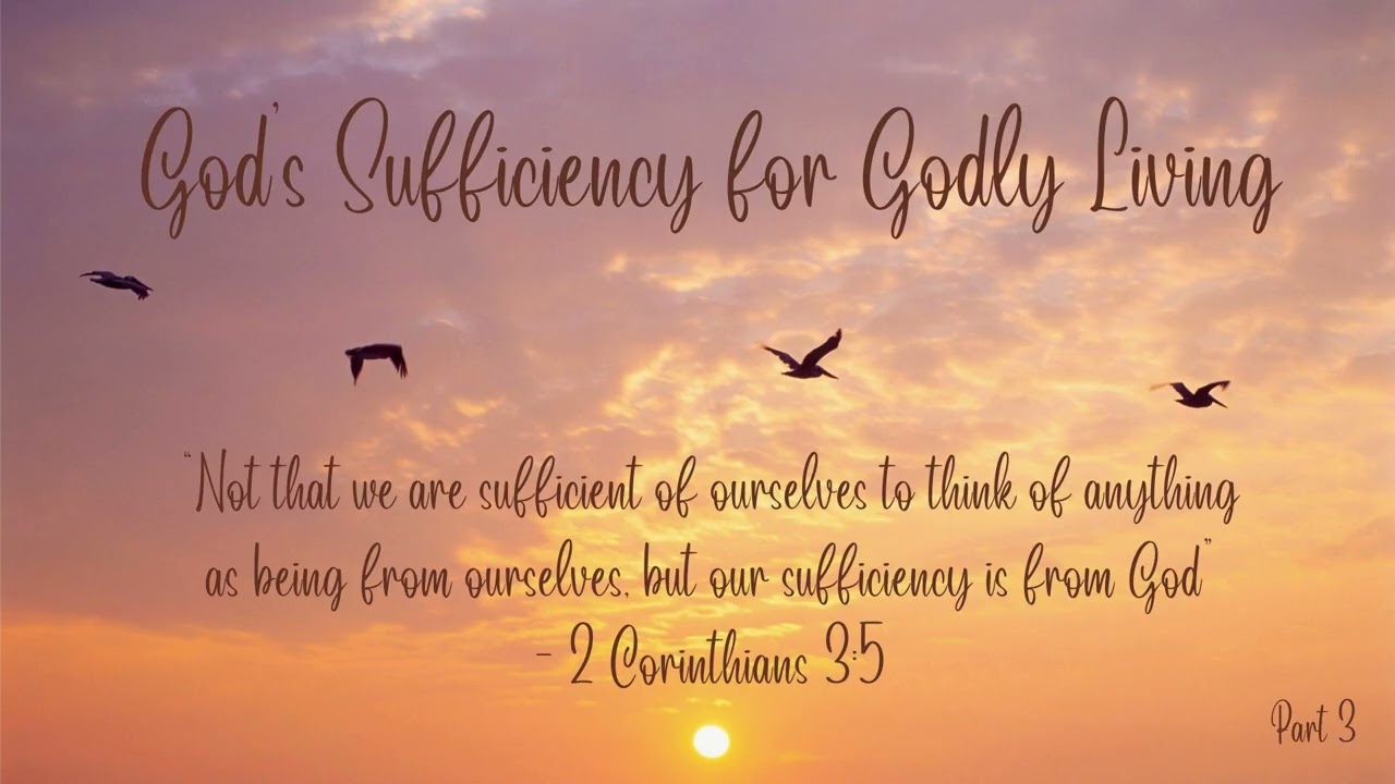 God's Sufficiency for Godly Living, Part 3e (Radio Broadcast: 1/30/2026)