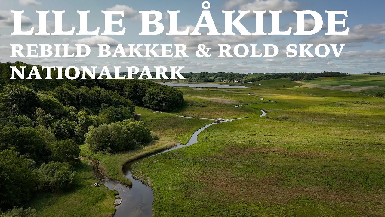 🇩🇰 Lille Blåkilde 🗺️ Gravlev Ådal 🌳 Reagan Vest 🌳 Rebild Bakker & Rold Skov Nationalpark 🍃