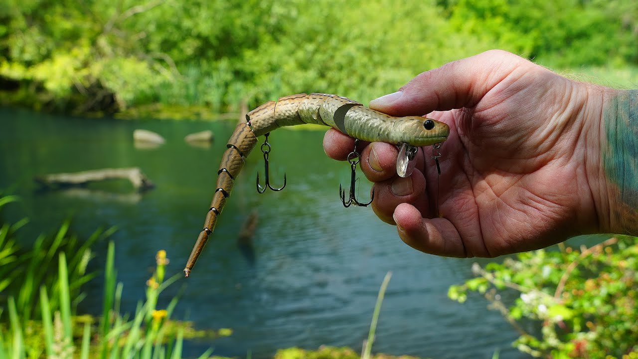 I Cast a SNAKE LURE Into a SWAMP and It Got DESTROYED!