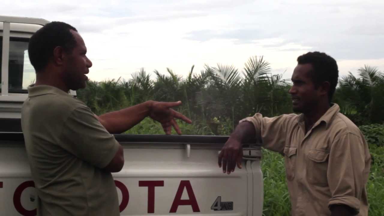 Technical assistance to cocoa farmers in the Solomon Islands