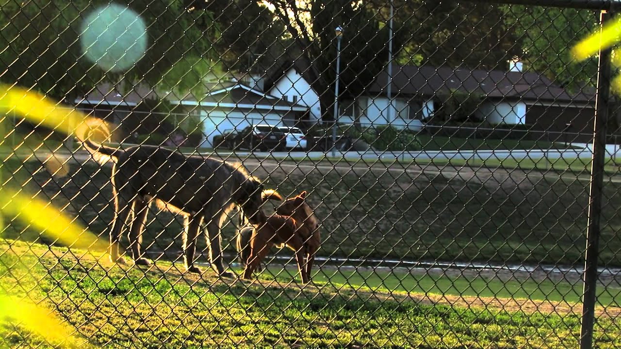 Canon Powershot SX40 HS Test
