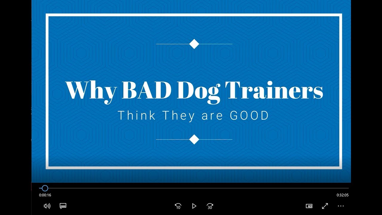 Why Bad Dog Trainers Think They Are Good