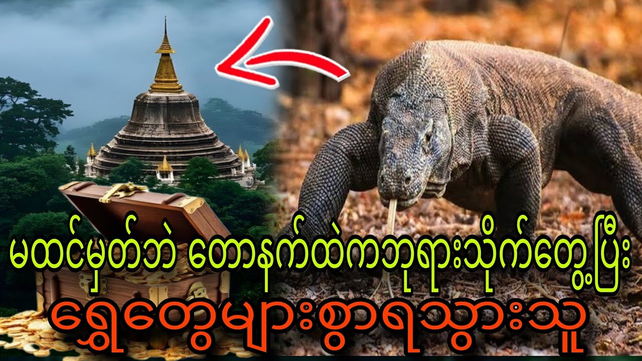 မထင်မှတ်ဘဲတောနက်ထဲကဘုရားသိုက်တွေ့ပြီး ရွှေတွေများစွာရသွား