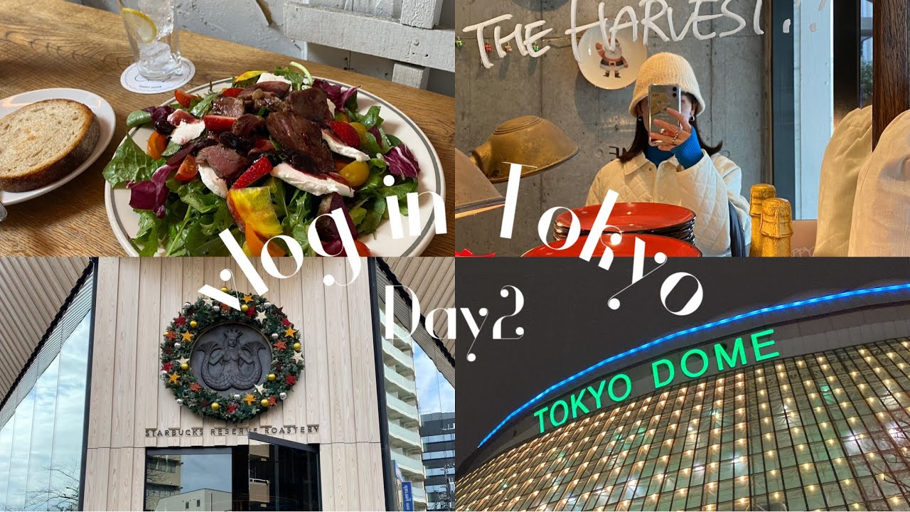 [vlog] 東京旅行Day2💜念願のSZドームライブ.silentロケ地巡り.HAPPY HOUR.THE HARVEST恵比寿
