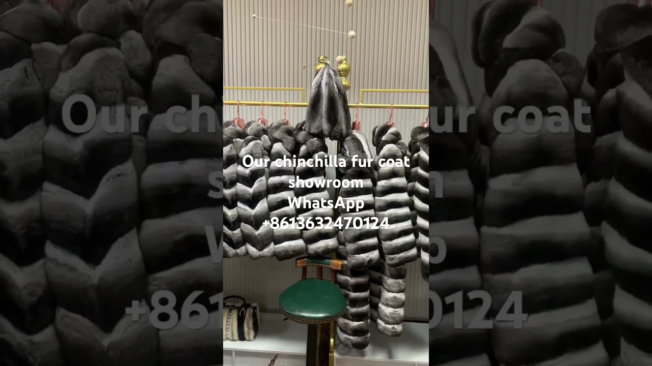 chinchilla fur coat showroom 