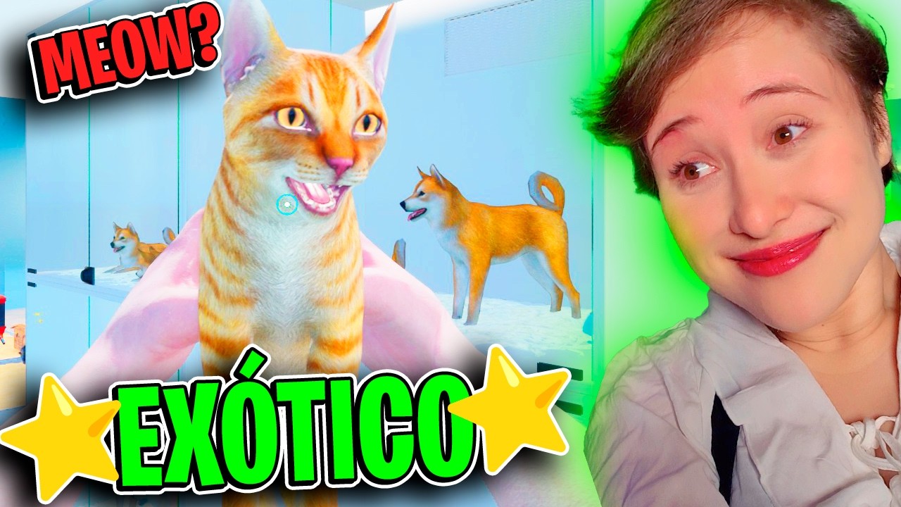 LARGAMOS TUDO PARA ABRIR UM PETSHOP EXÓTICO