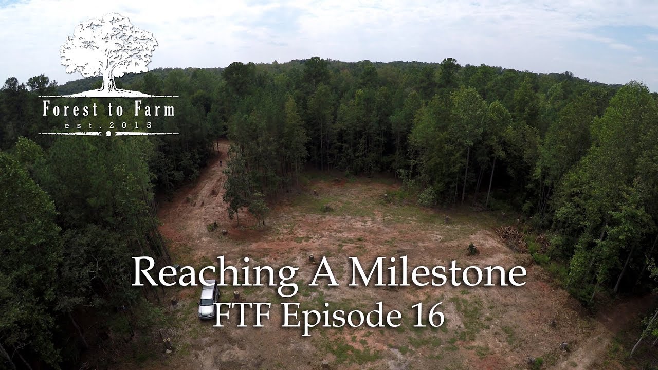 Reaching a Milestone - FTF E016