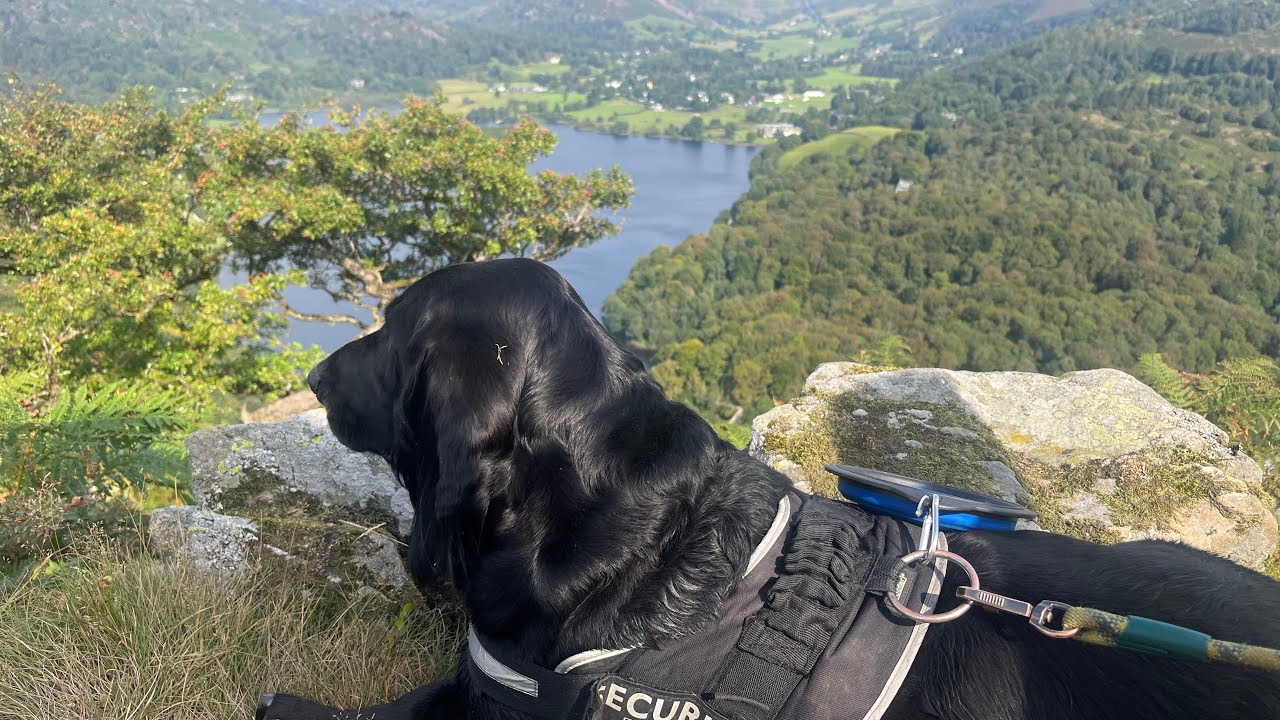 All trails Loughrigg fell circular including Loughrigg fell and Rydal caves.