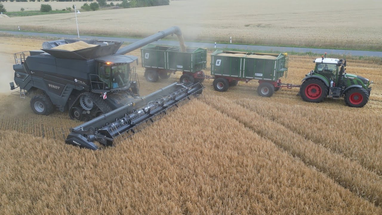 FENDT IDEAL 8T am Gerste dreschen / Abfahrer FENDT 724 / Lohnunternehmen Gose / 4K