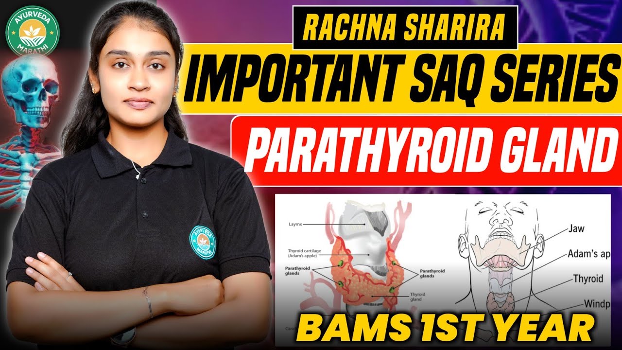 Parathyroid Gland Explained | Rachana Sharir IMP SAQ 🔥 | BAMS 1st Year