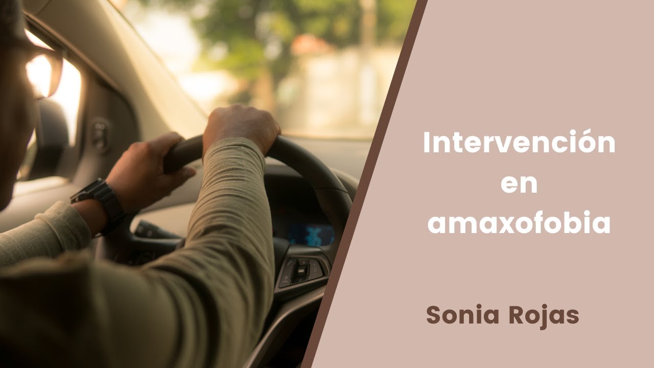 Intervenci&oacute;n en amaxofobia
