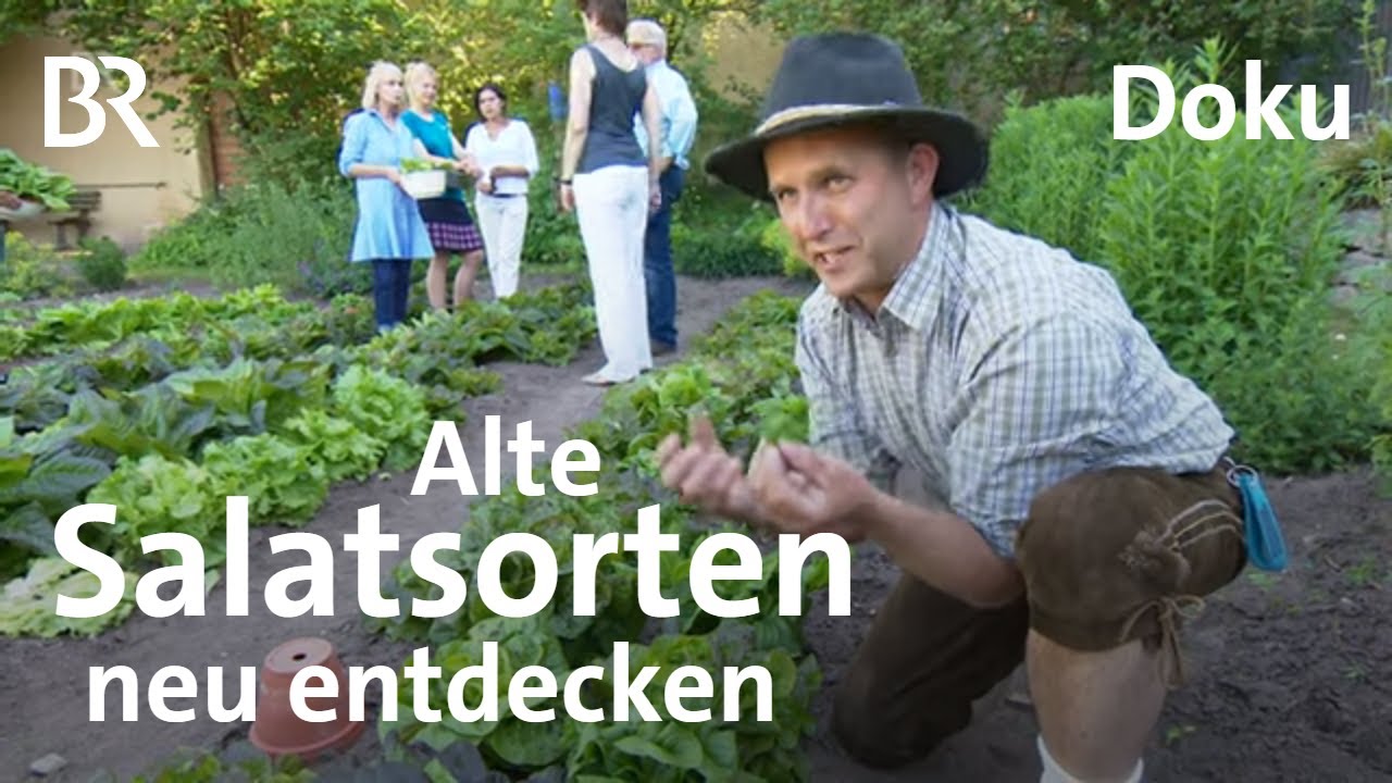 Alte Salatsorten aus Frensdorf: Teufelsohr und Trotzkopf | Zwischen Spessart und Karwendel | BR