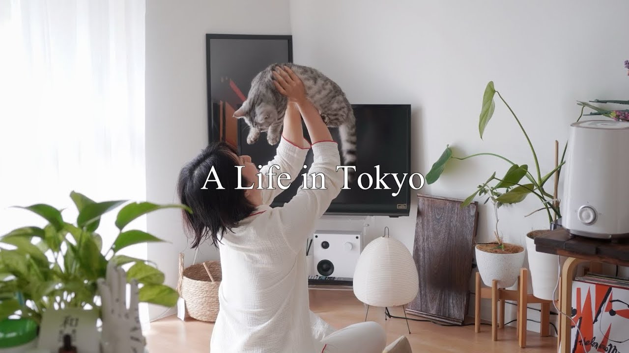 tokyo vlog / 東京デザイナーの一週間の日常/猫アレルギーだなんて😇/表参道アップルストア/お好み焼き/猫の飼い初心者